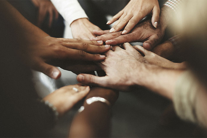 TASAI partners