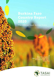 Burkina Faso 2020 Report