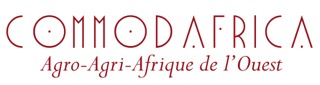 Launch of TASAI, the African Seed Access Index