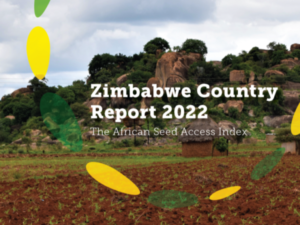 Zimbabwe Country Report Launch