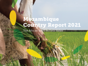 Mozambique Country Report Launch
