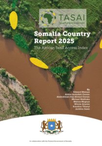 Somalia 2025 Report