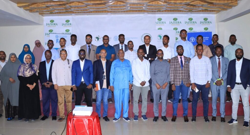TASAI Begins Seed Sector Assessment in Somalia to Strengthen Policy and Industry
