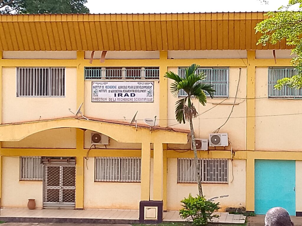 First TASAI Cameroun country study near completion