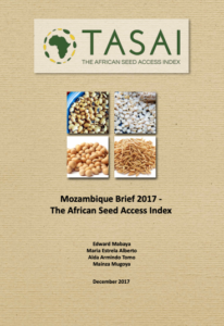 Mozambique 2017 Brief