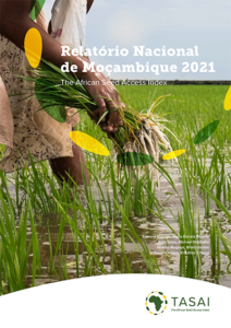 Mozambique 2021 Report